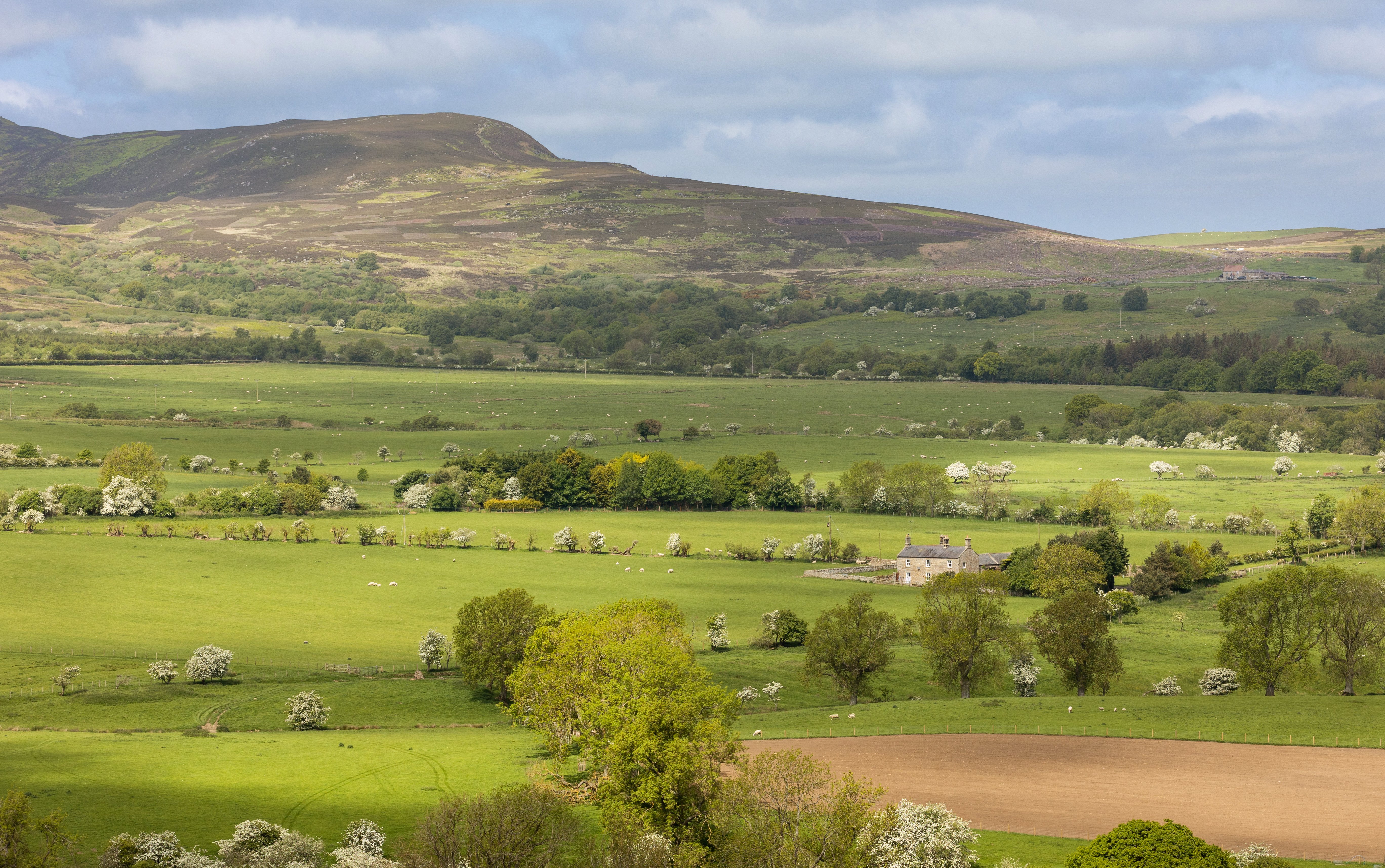 The Rothbury Estate: The ground beneath our feet