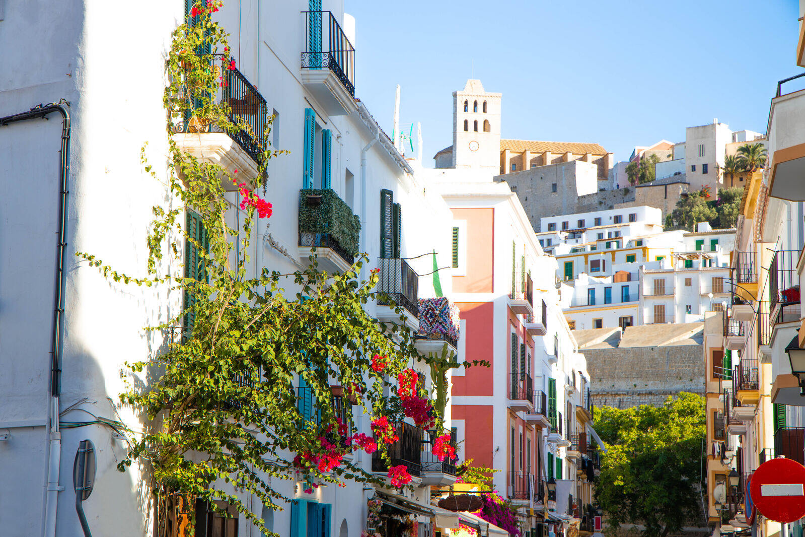 Notting Hill to Ibiza: why Londoners are finding their paradise on the White Isle