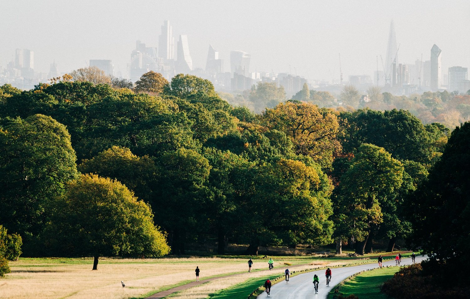 Setting down roots in south west London