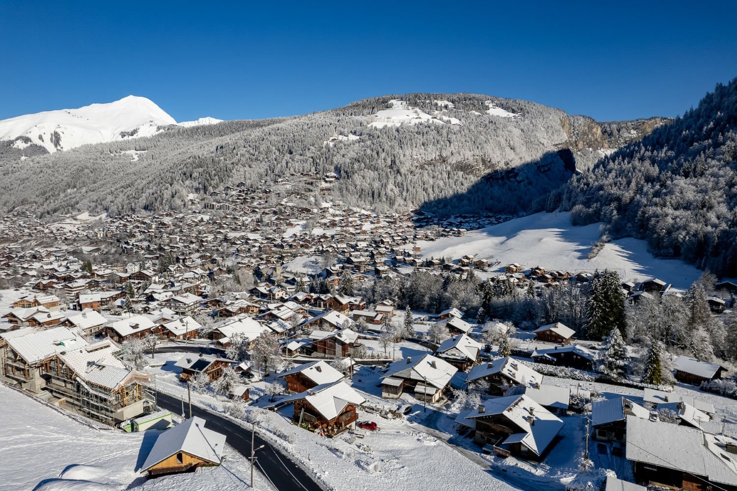 Top Alpine properties with rental potential